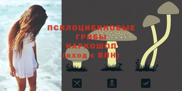 стаф Усинск