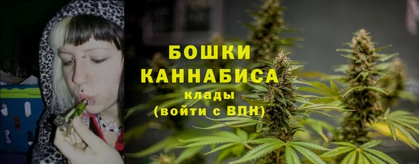 стаф Усинск