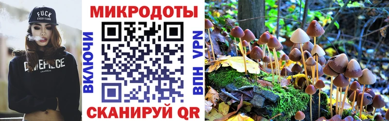 Купить закладки  Оса  Псилоцибиновые грибы ЛСД 